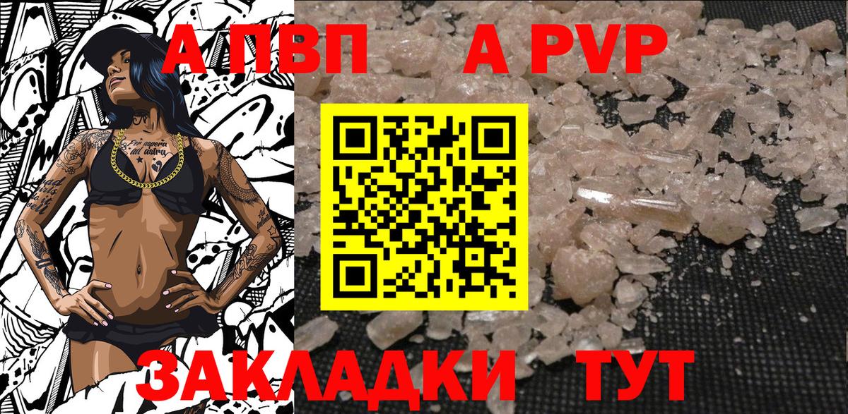 Alfa_PVP СК Чайковский