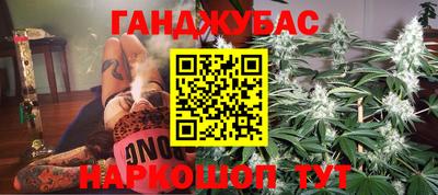 сатива Новокубанск