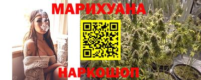ECSTASY Новозыбков