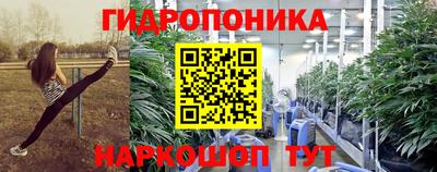 сатива Новокубанск