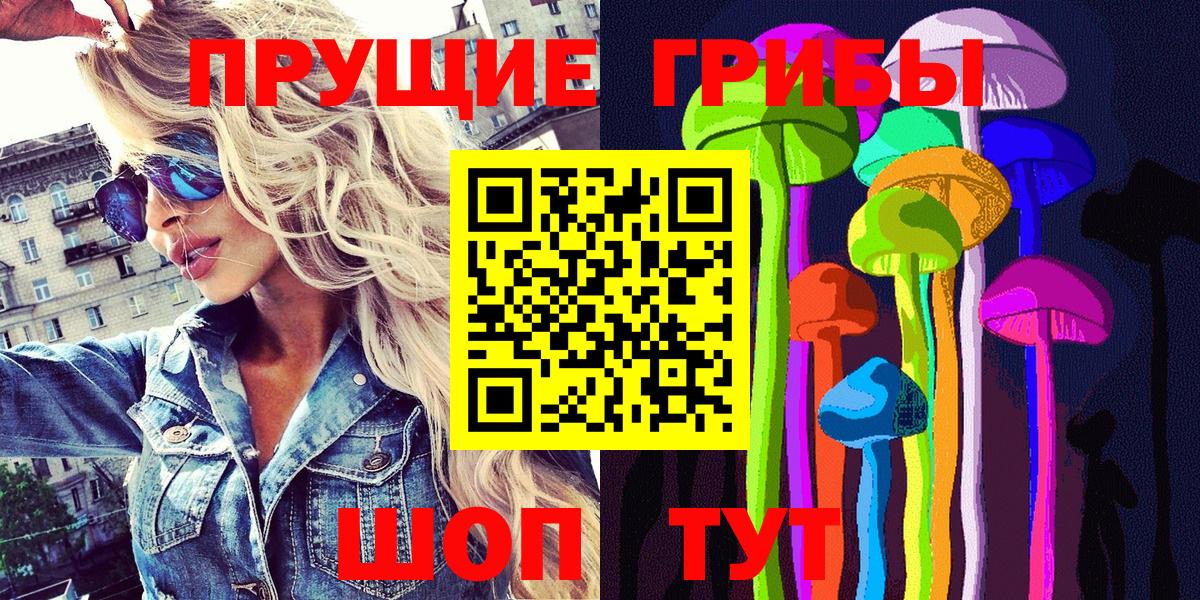 где найти   Вход с VPN  Чайковский  Галлюциногенные грибы Psilocybe 
